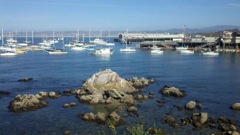 Sailboats in Monterey Harbor